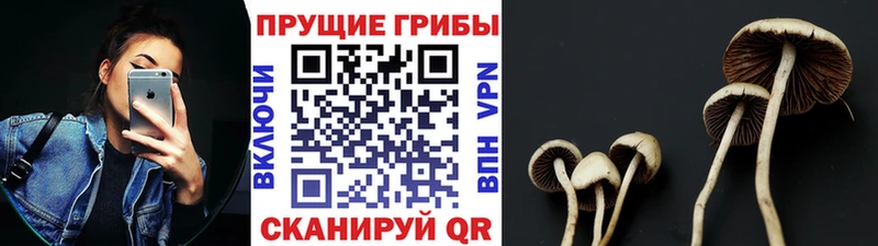 KRAKEN маркетплейс  Балабаново  Галлюциногенные грибы Magic Shrooms 